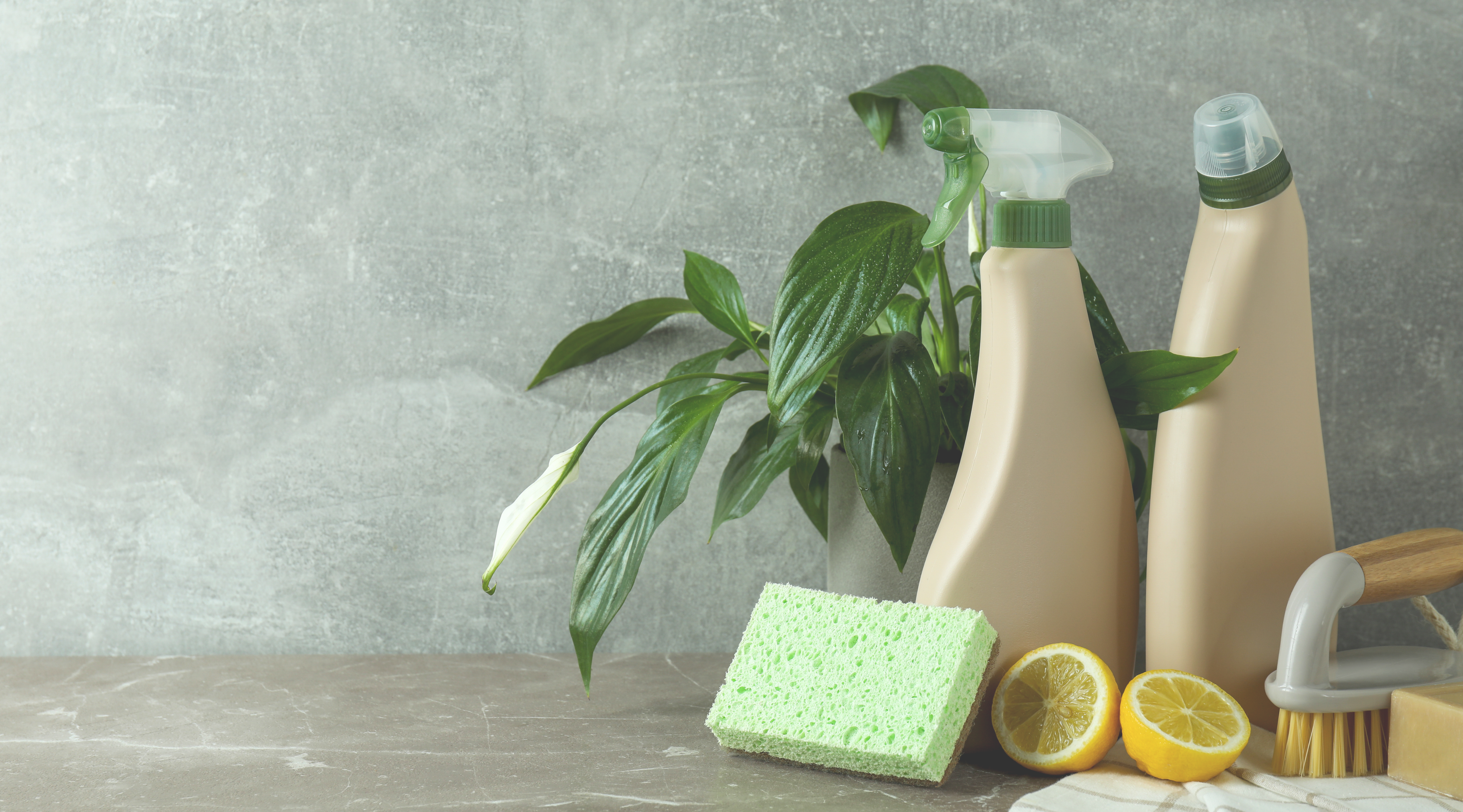 eco-friendly cleaning services